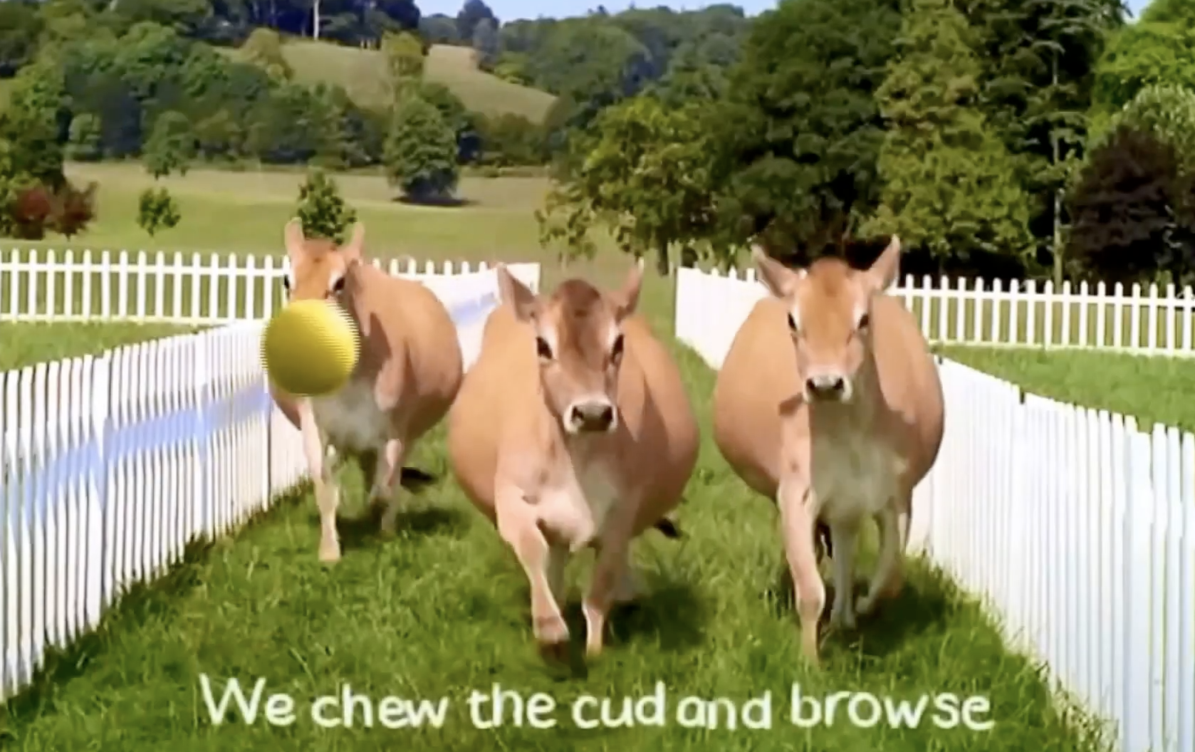 Anchor Butter — Cow Soccer